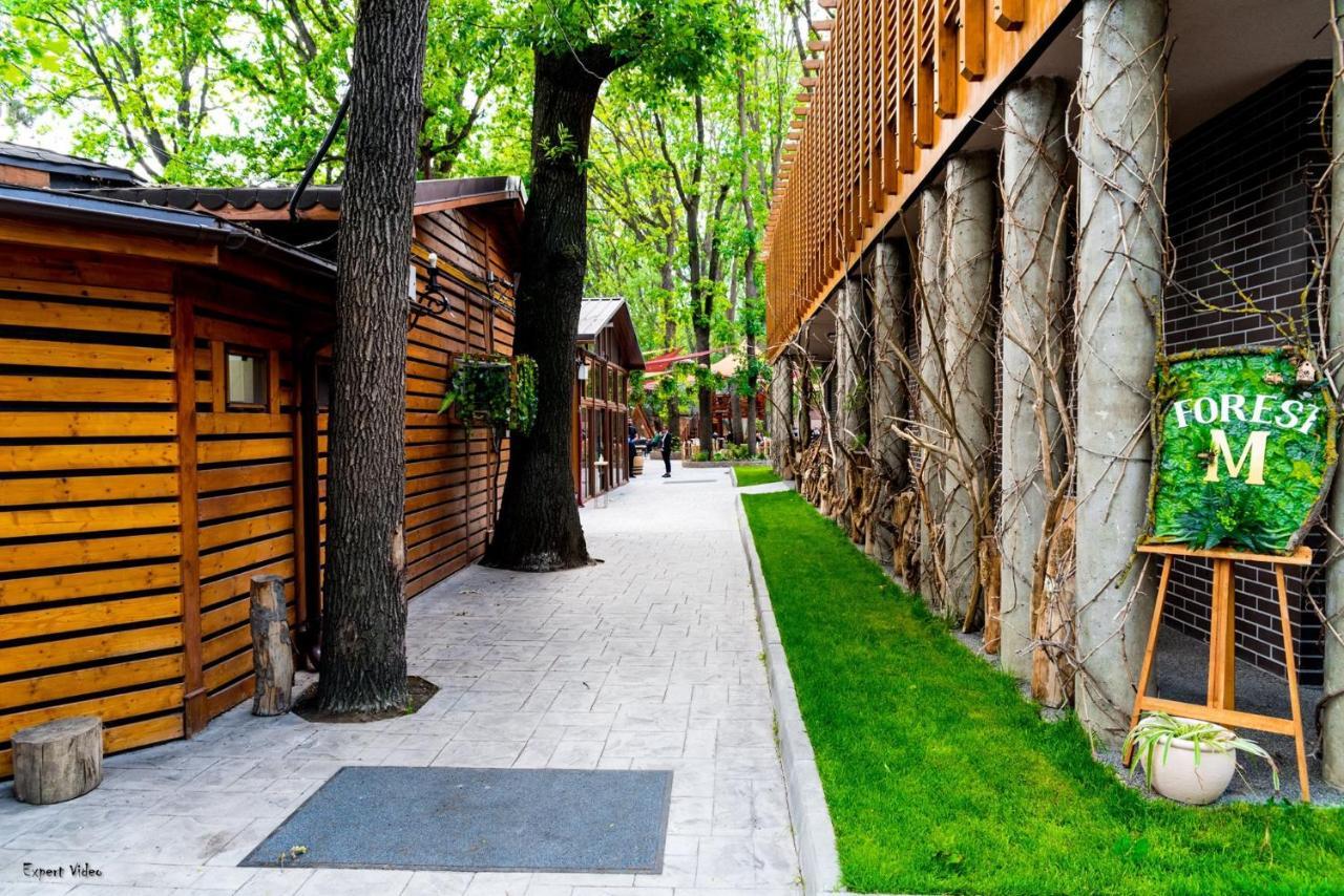 Forest M,Constanta Valu lui Traian Extérieur photo